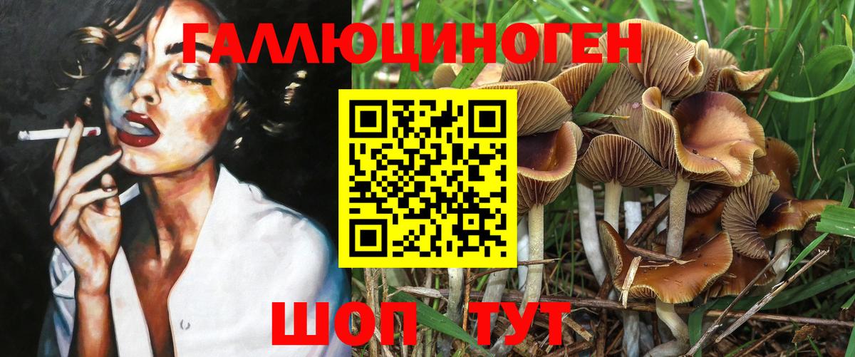 Псилоцибиновые грибы MAGIC MUSHROOMS  Вход с VPN  Псилоцибиновые грибы Cubensis  Печора 